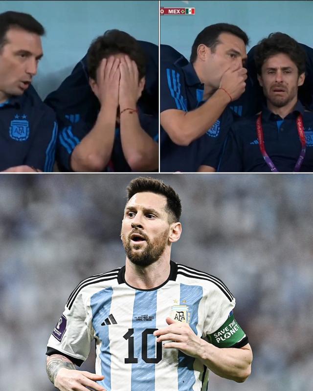 1669560161976033967.jpg 艾马尔.jpg