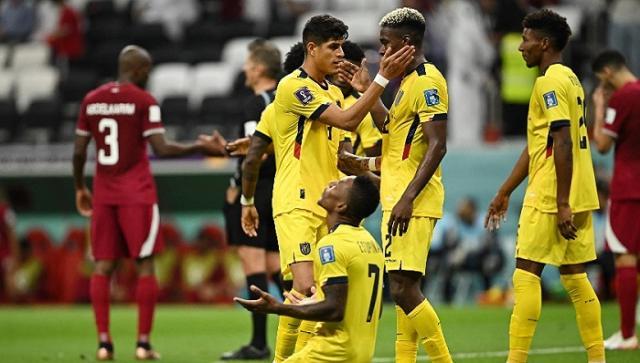 1668985023287085925.jpg kataer.jpg